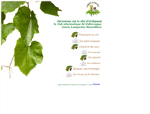 Tablet Screenshot of ordigoual.fr